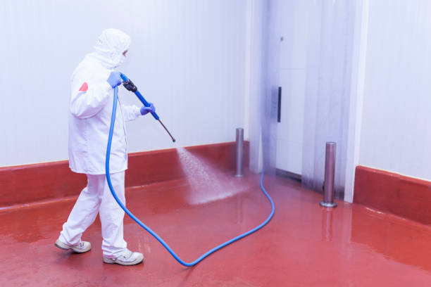 Best Concrete Sealing  in Celina, TX