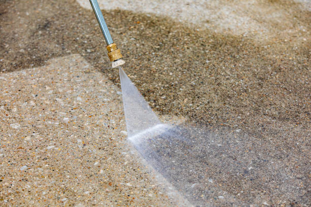 Animal Enclosure Cleaning in Celina, TX